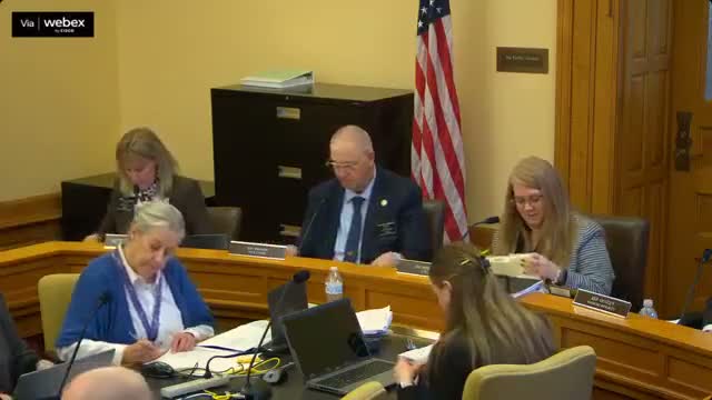 Committee backs amended juvenile stabilization‑center plan with one‑time funding transfer