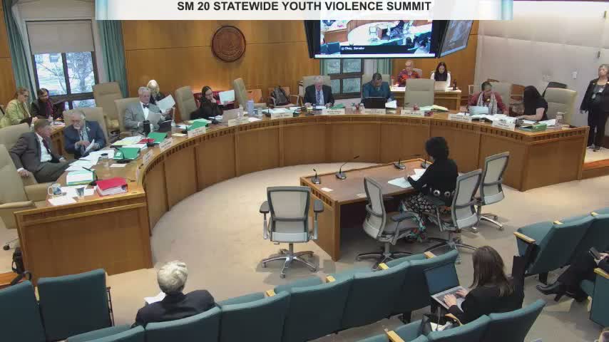 Senate memorial to convene statewide youth violence summit passes after amendment to include youth and legislative appointees