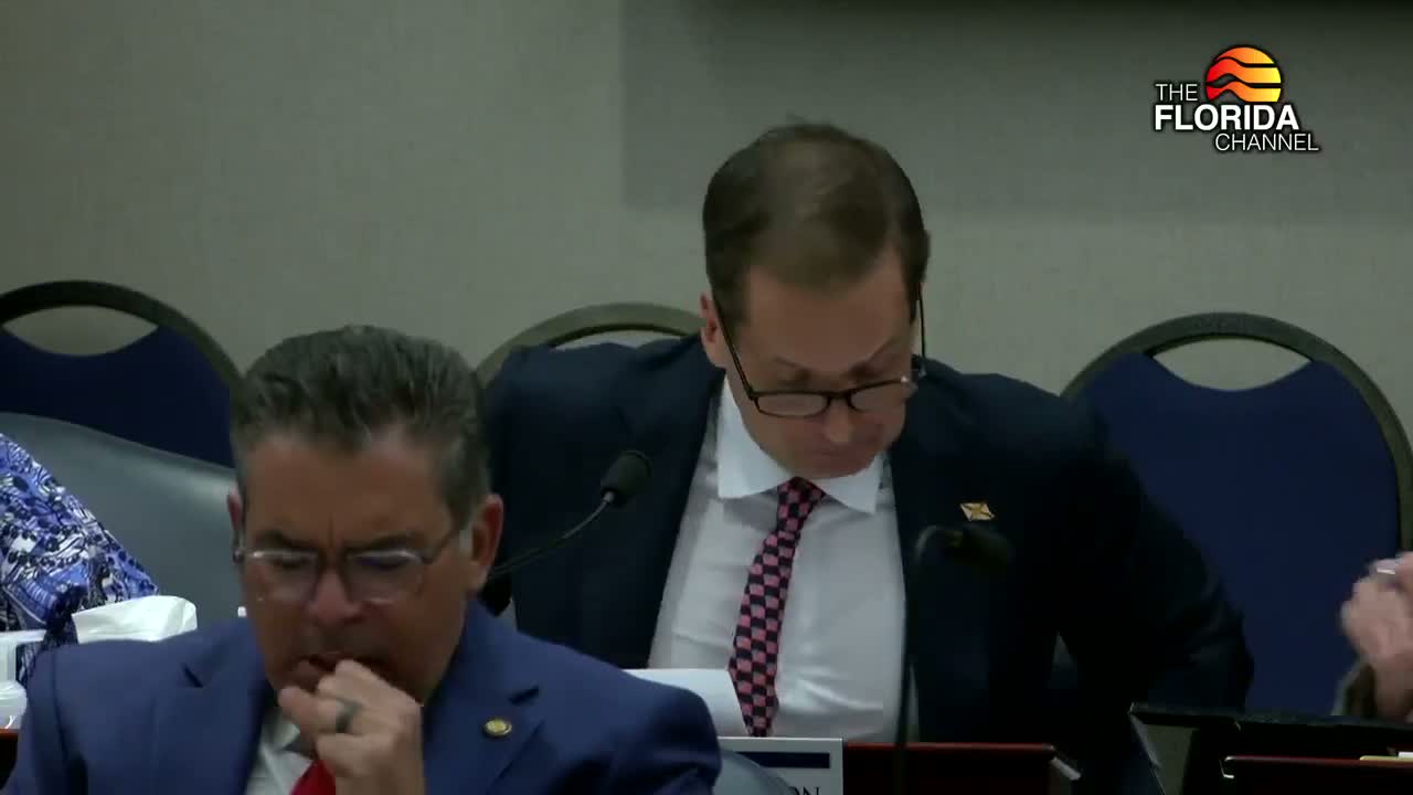 Florida committee advances sweeping election-integrity bill after hours of debate and public testimony