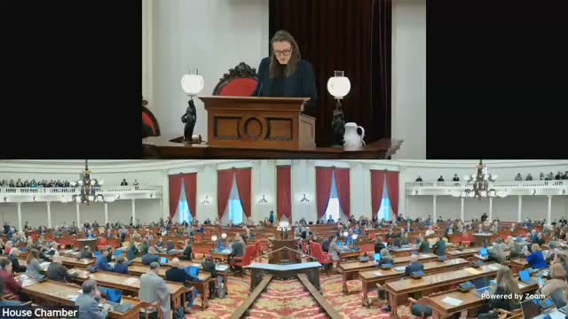 House reads resolution congratulating YMCA; members share personal remarks