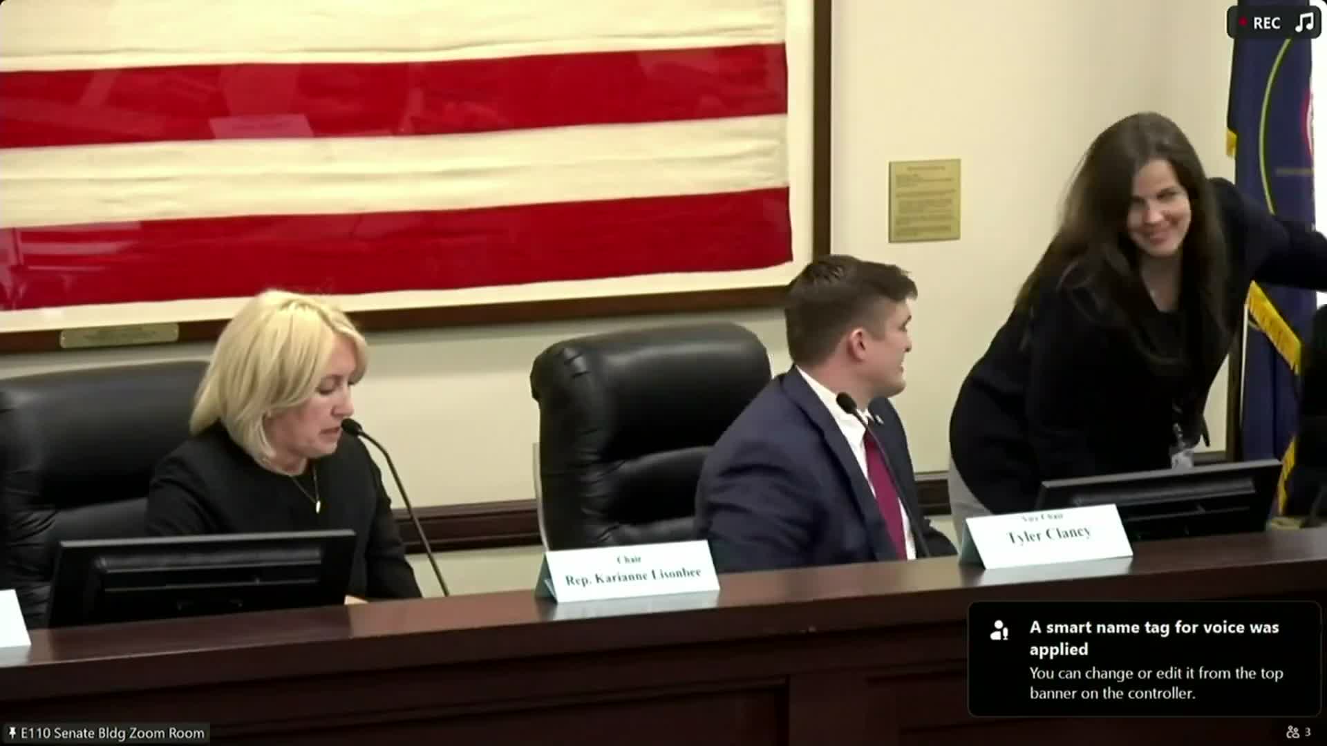 Committee advances bill tightening access to adoption birth records while preserving sealing process