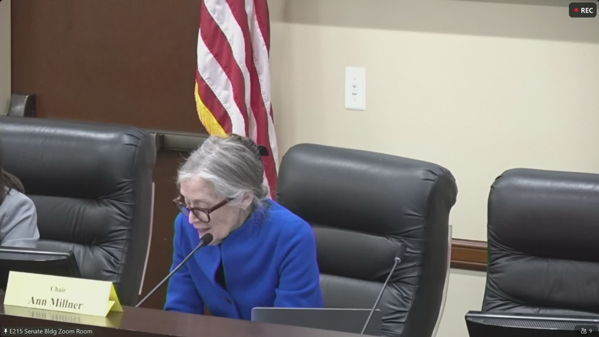 Senate committee declines to advance bill imposing statutory plan for very large homeless campuses