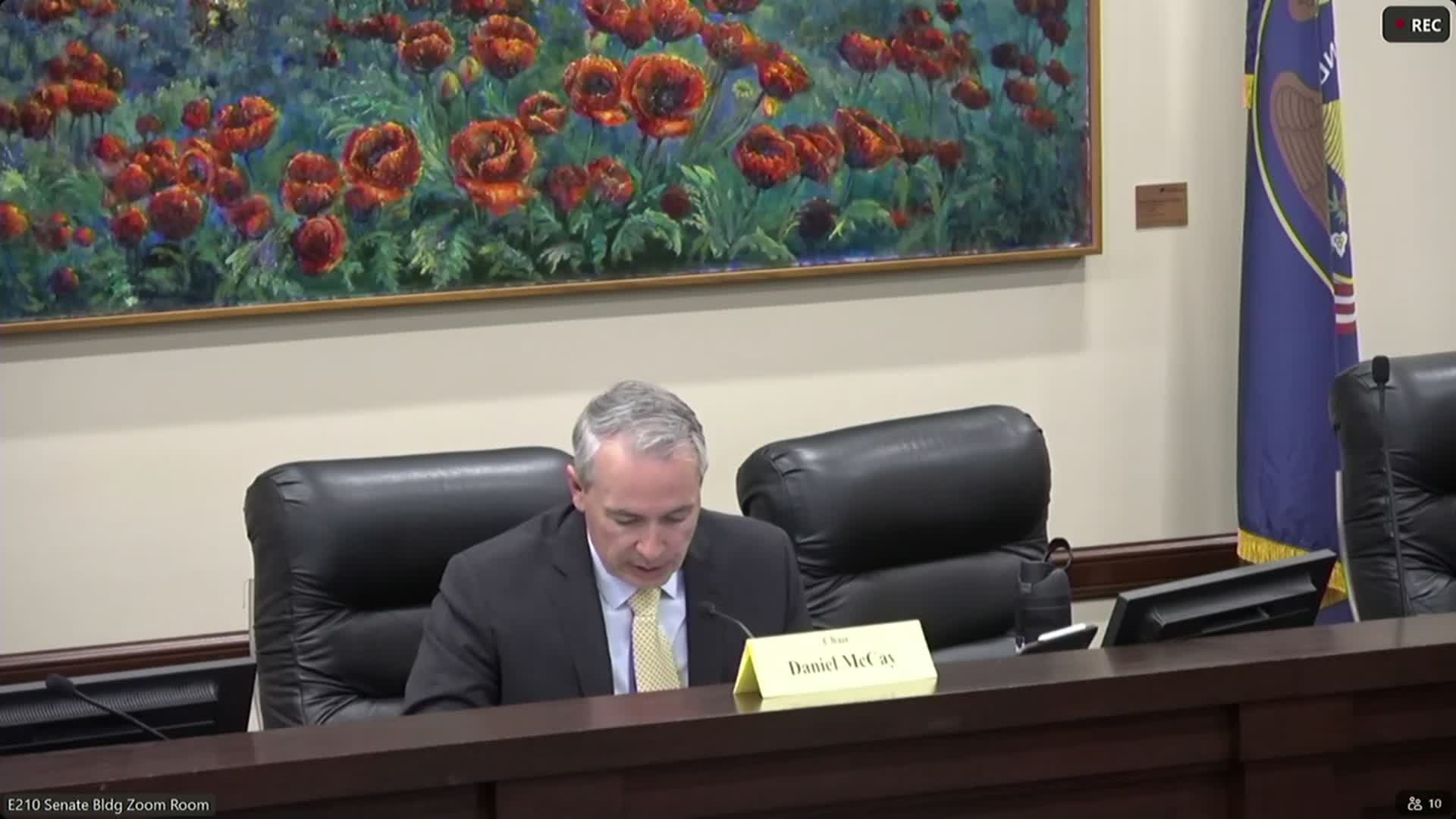 Senate committee advances targeted-advertising tax to fund youth programs