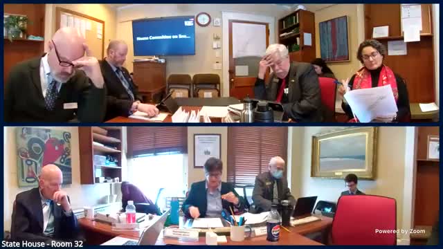 House Energy committee reviews ADS FY27 request, flags $9M recurring appropriation and billing shifts