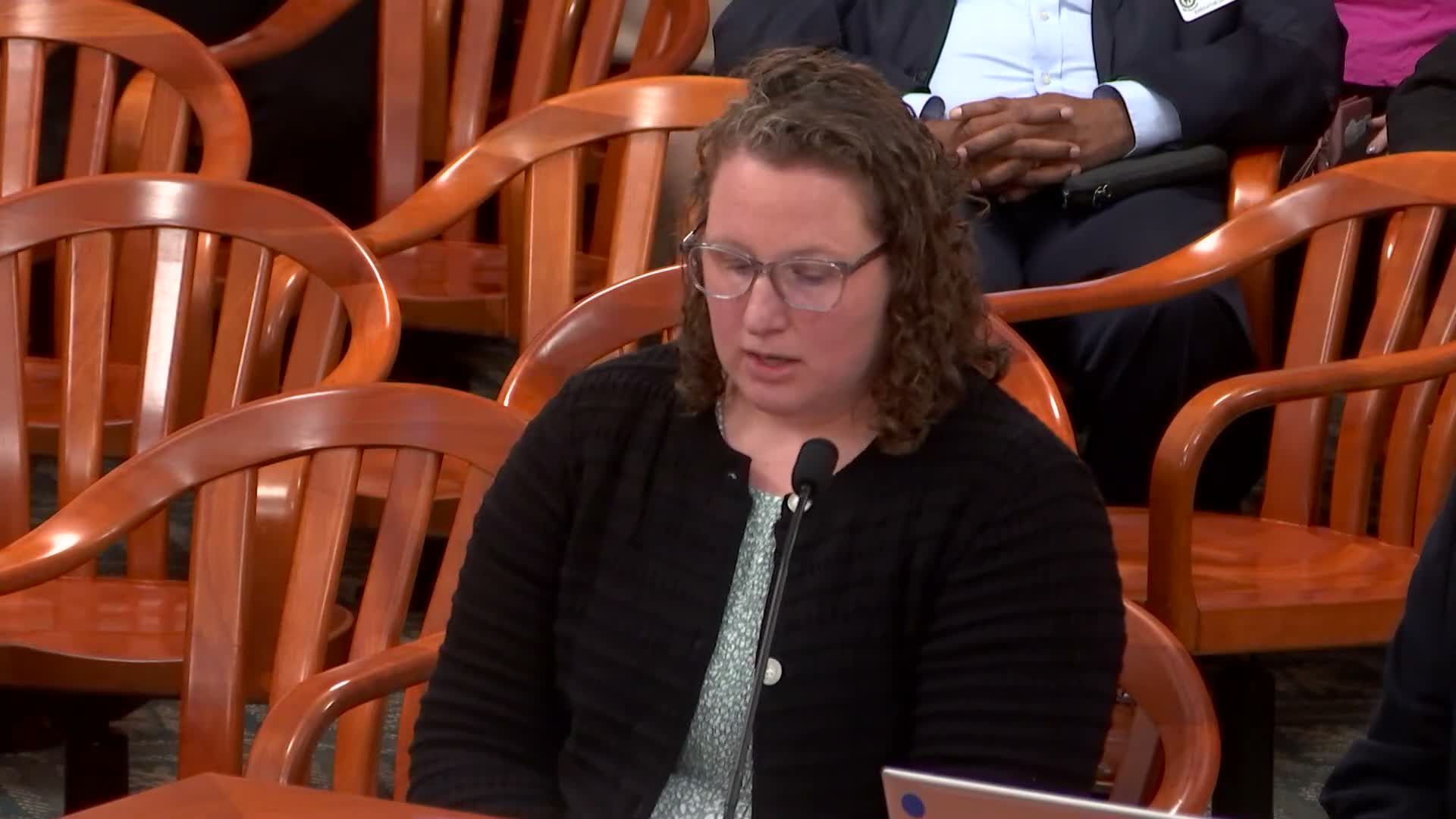 Innovate Albion asks committee to reinstate roughly $90,000 to finish ADA elevator renovation