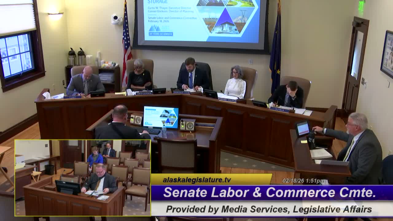 AEA presents SB218 to Senate committee seeking repeal of electric co‑op kilowatt tax