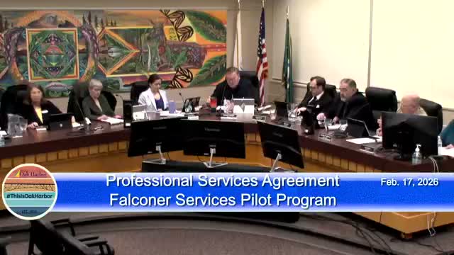 Oak Harbor council approves falconry pilot to deter downtown seagulls