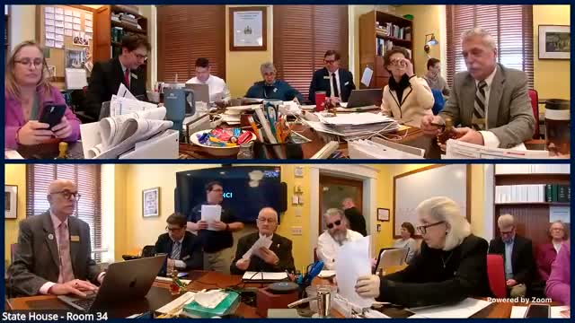 Fair organizers tell committee capital grants fund long‑life infrastructure and local economic activity