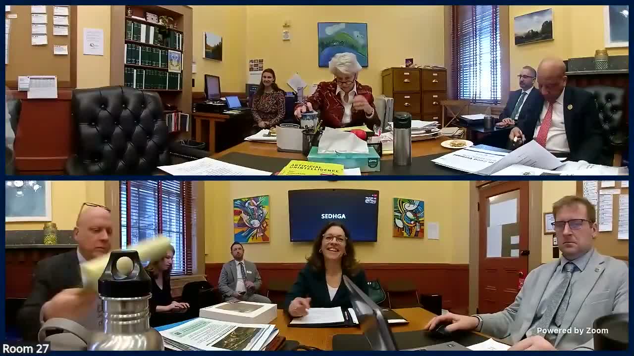 Senate committee reviews S.327; testimony urges state match to draw down federal SBDC dollars and funds to shore up nonprofits