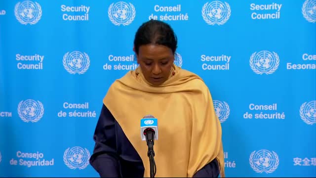 Security Council hears fact-finding report alleging mass killings and systematic sexual violence in Sudan