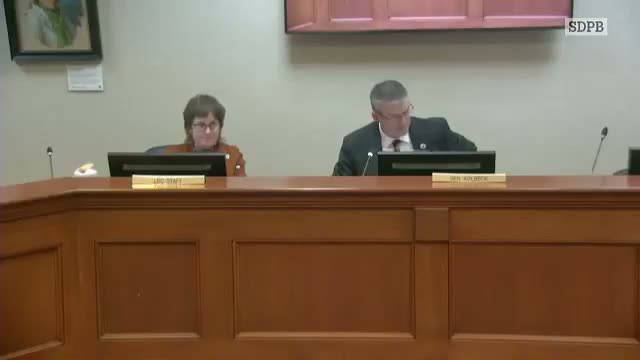 Senate committee advances amended bill tightening rules for marriages of 16–17-year-olds