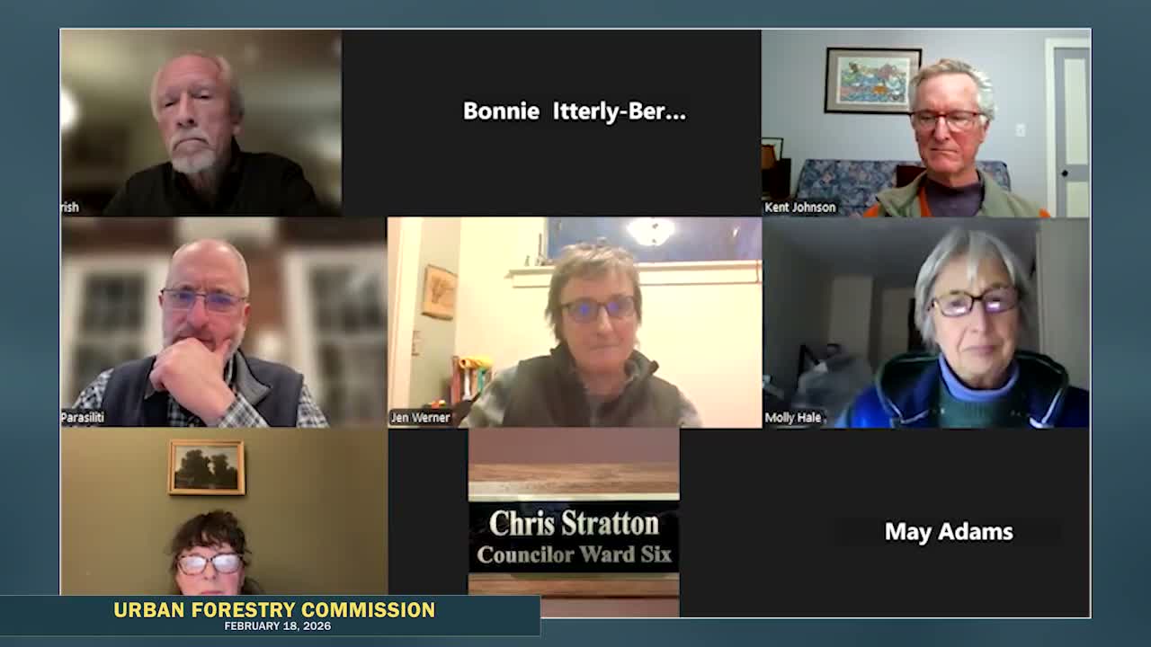 Commission discusses spotted lanternfly presence in Northampton and plans outreach at Arbor Day