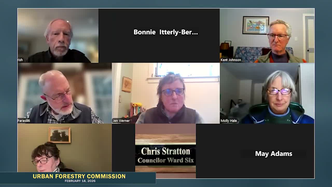 Tree warden to hold public hearing on proposed removal of 28-inch white pine at 296 Ryan Road