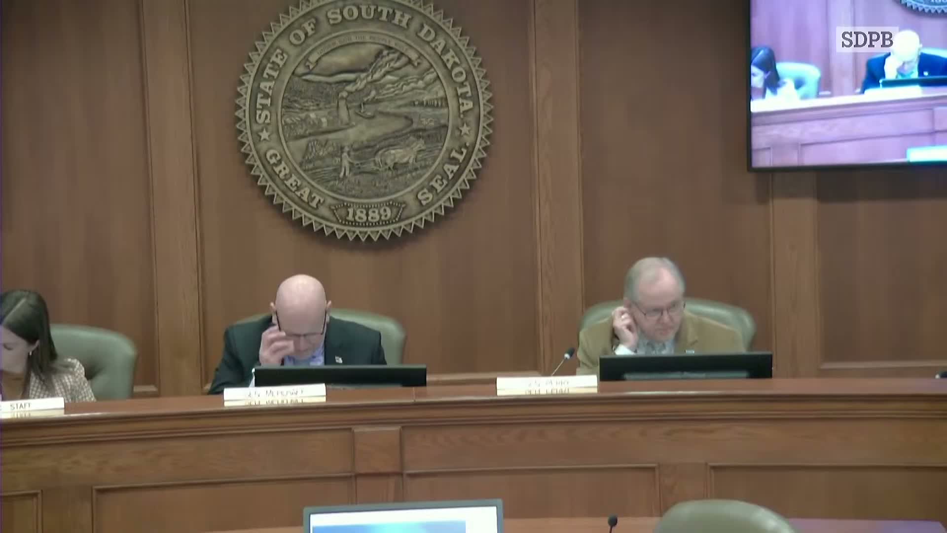 Senate State Affairs advances rulemaking and deference bills; property‑tax constitutional amendment deferred