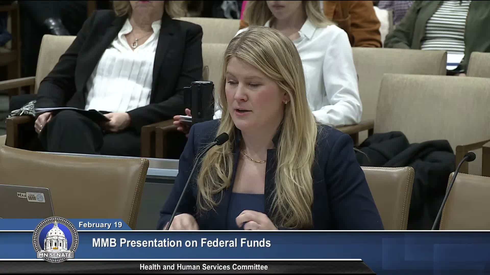 Senate hearing warns HR 1 and federal actions threaten Minnesota health and human services funding