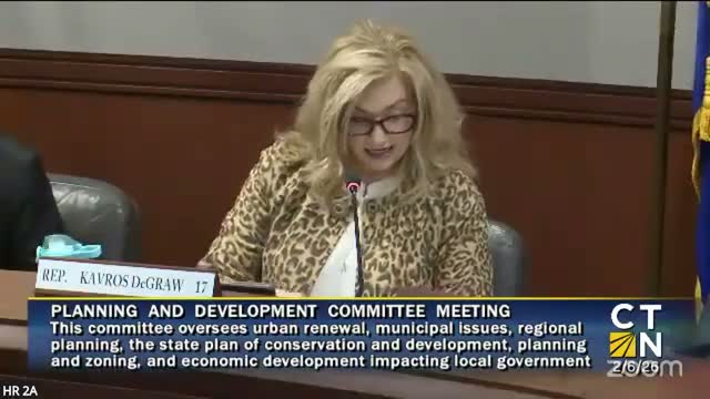 Committee advances concept letting towns ban sale of dogs, cats and rabbits in pet shops after divided debate