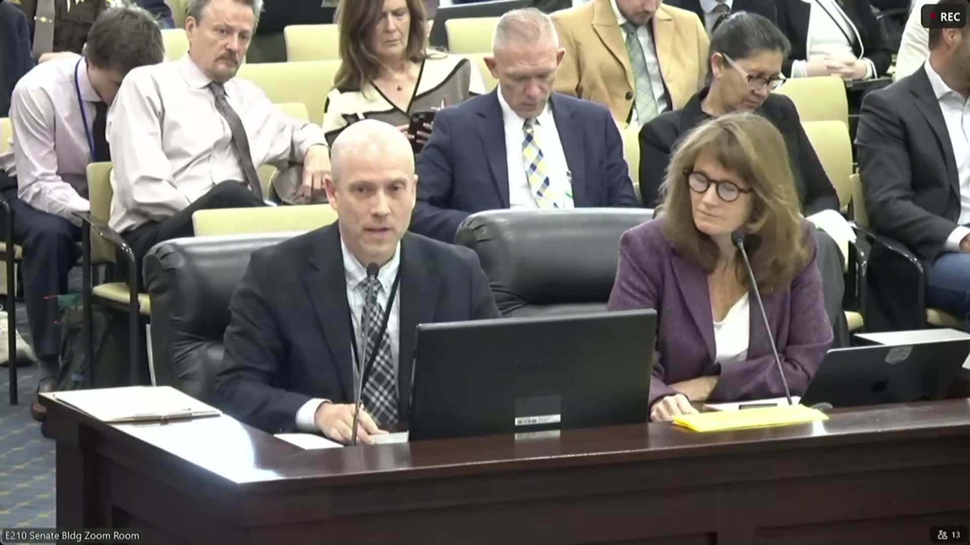 Committee approves substitute clarifying justification hearings for bystander injuries in self-defense cases