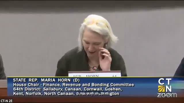 Finance, Revenue and Bonding committee approves procedural motions to advance multiple concepts and draft a committee bill