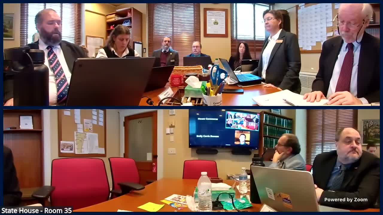 Committee discusses licensing, scope-of-practice and workforce barriers amid budget uncertainty