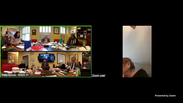 Committee reviews strike-all amendment to H.775; debates municipal planning requirement and disability needs