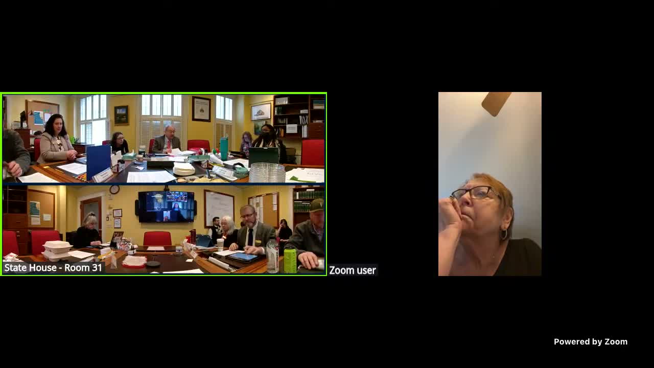 Committee authorizes Legislative Council to draft long-form bill for statewide ADA coordinator (H.861)