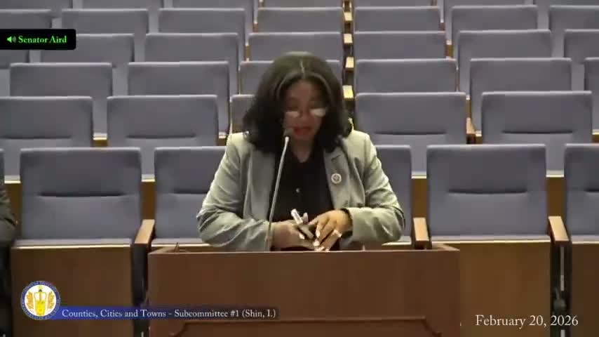 Subcommittee backs Waverly charter update to allow town manager and council‑selected mayor