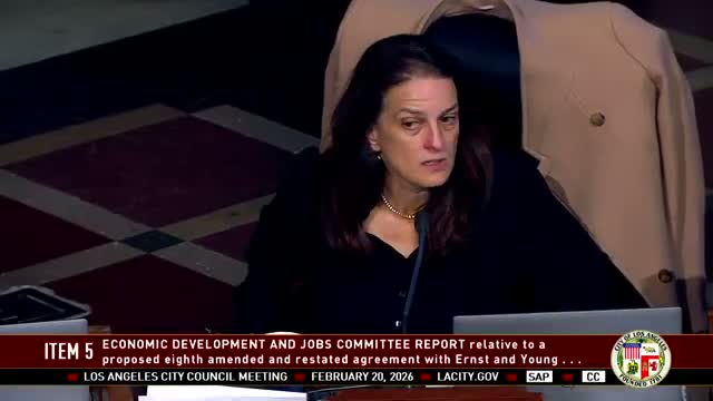 Council reviews large contract modification for project consultants; staff cites expanded management role