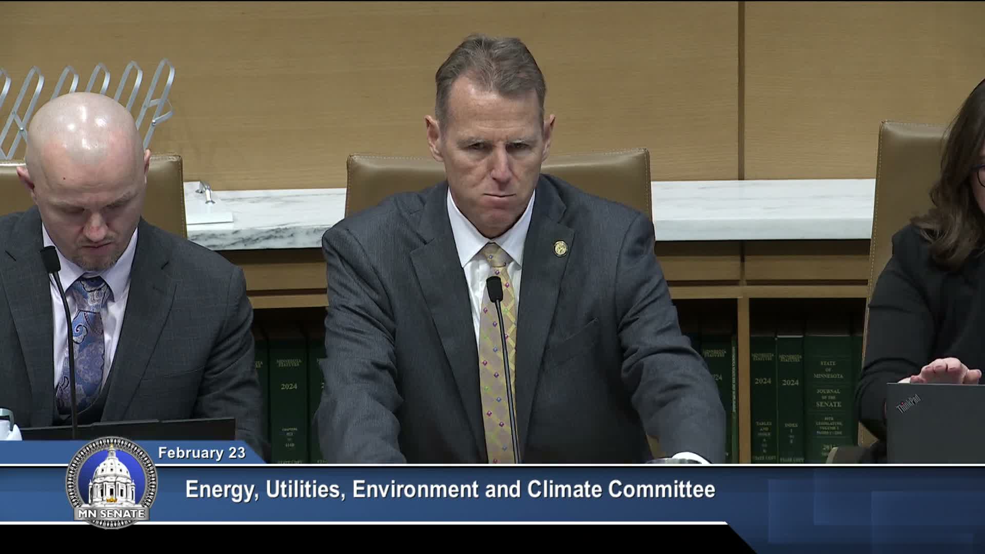 Commerce tells Minnesota Senate committee generation has gotten cheaper but transmission and distribution are driving higher bills