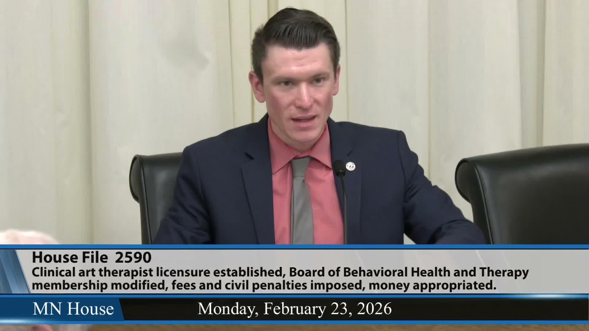 Committee adopts technical amendment and lays over art-therapy licensure bill