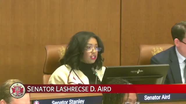 Senate Local Government Committee advances dozens of local charter bills; Virginia Beach charter passes 10-5