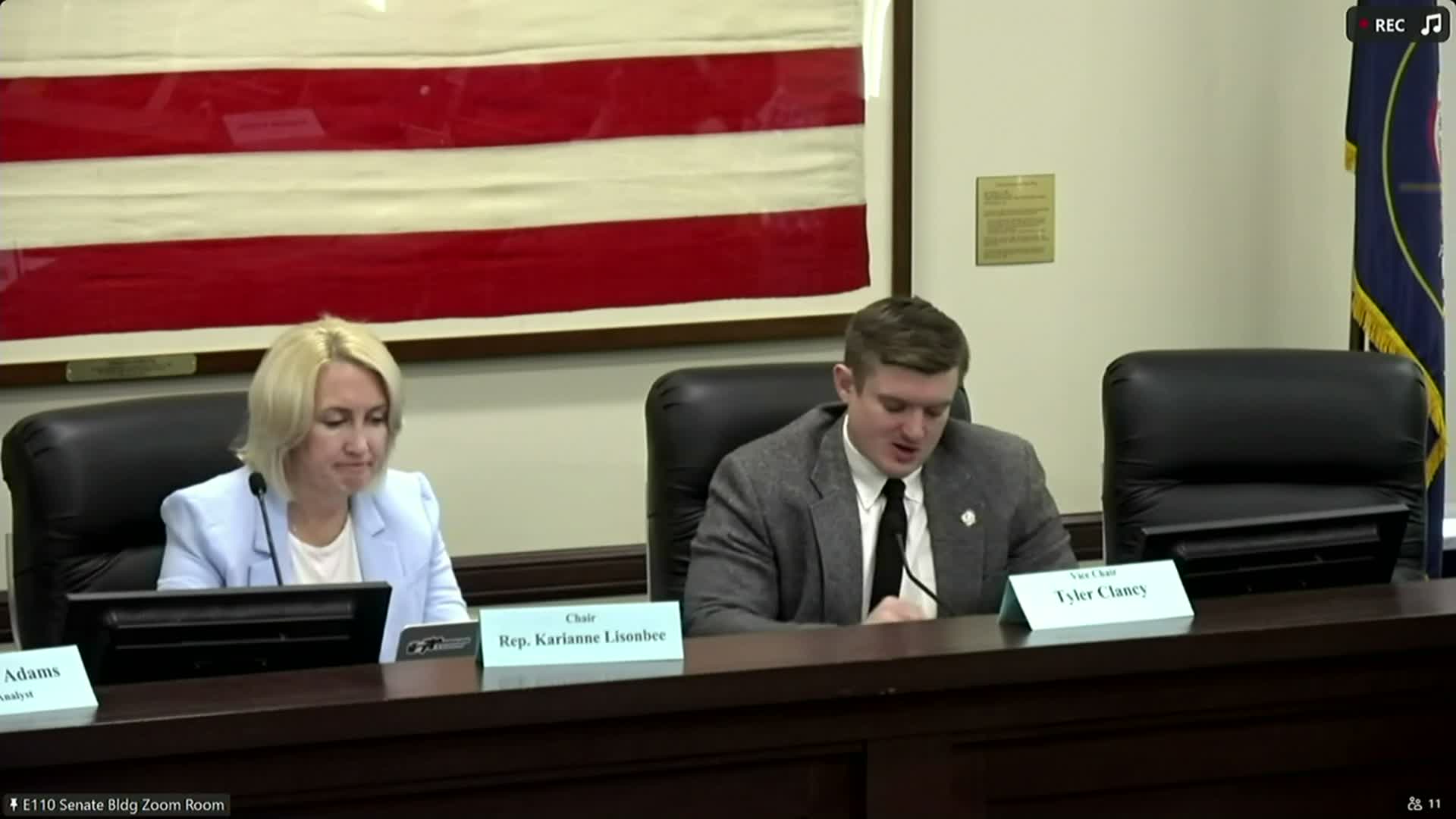 Committee backs change to curb litigation abuse in family law (HB 555) after emotional testimony