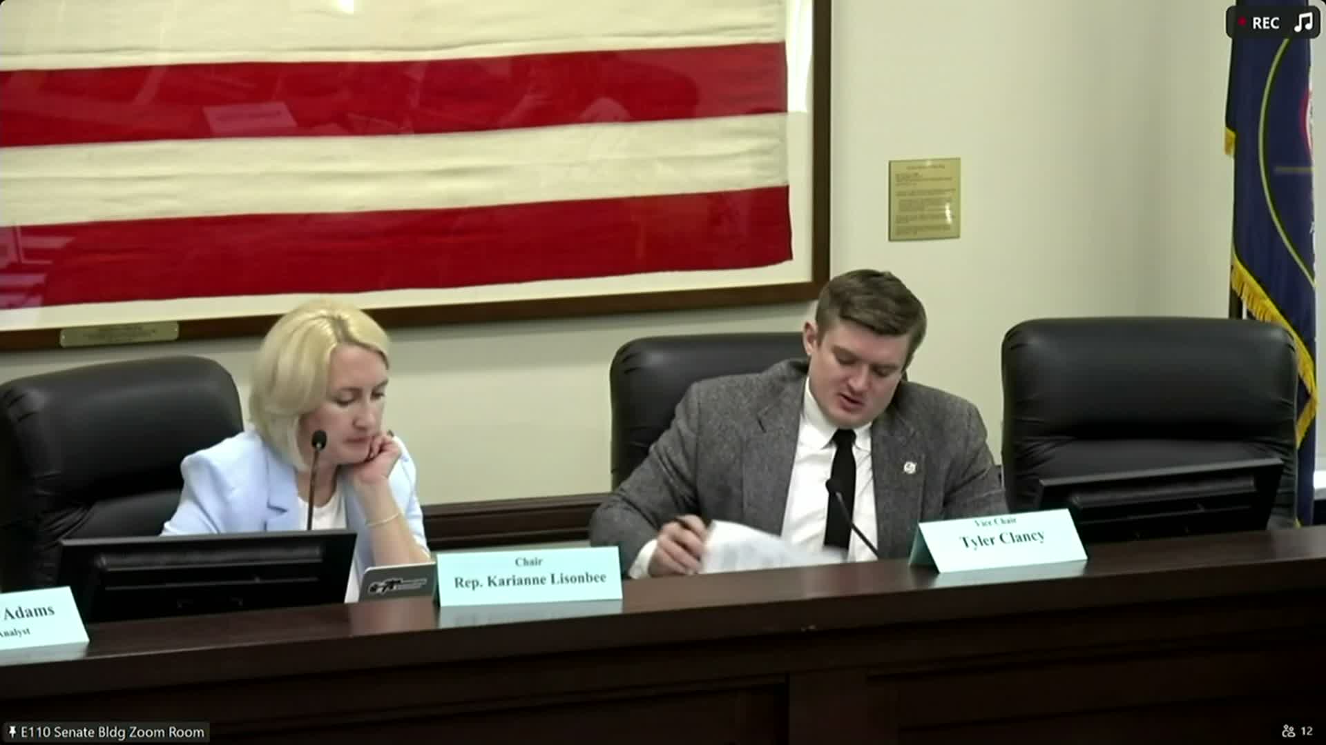 Committee advances HB 522 to clarify low-income support rules and parentage in DCFS placements