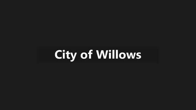 Willows City Council convenes closed session to evaluate city manager