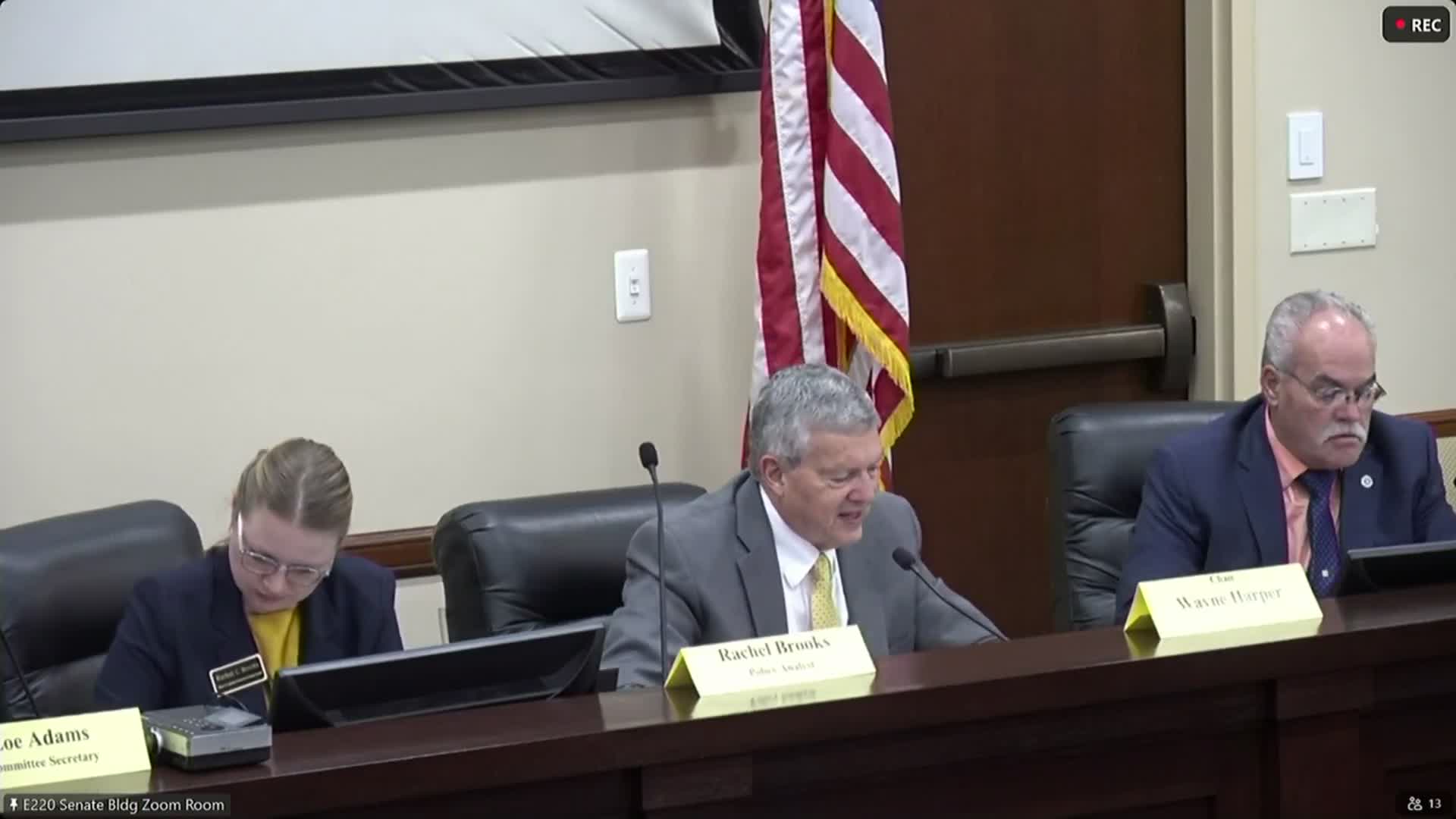 Committee backs HB 381 to classify high‑power electric devices and set youth safety requirements