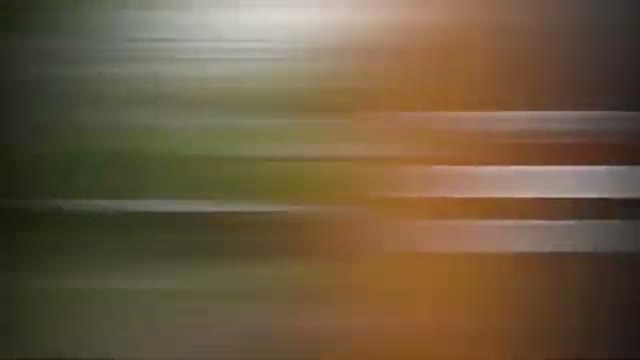 Central Florida Zoo spotlights conservation, education and signature events