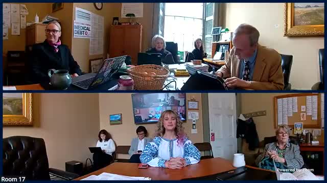 Senate Health & Welfare considers task force to overhaul mandated‑reporting rules; members press for training, staffing review