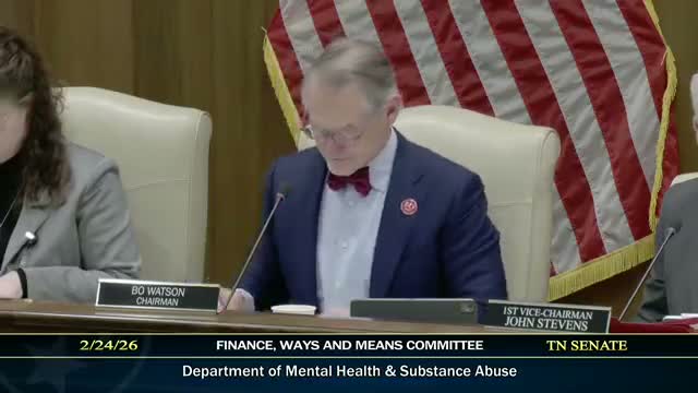 Senate panel approves two-year Families First grant to fund family support after youth mental-health crises