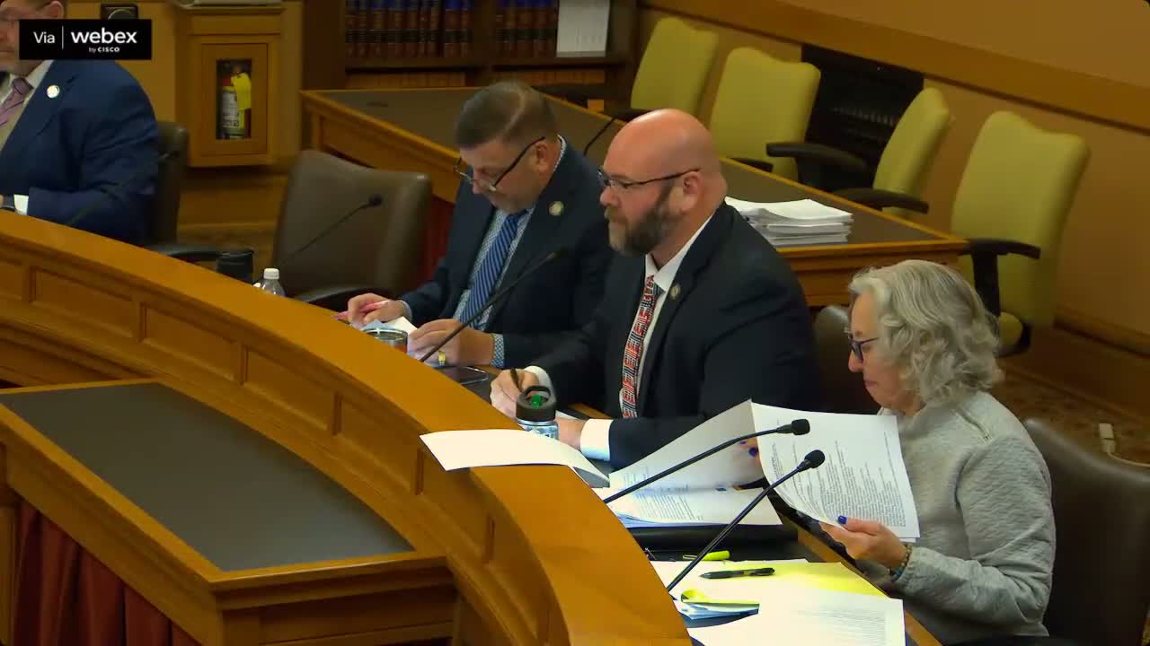 Behavioral health providers ask subcommittee for steady funding, workforce investment and block-grant support