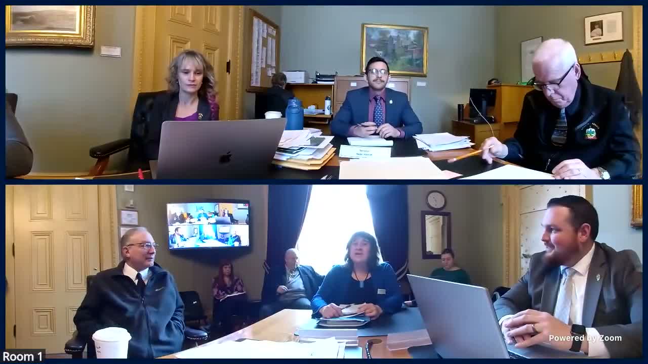 Disability council warns proposed forensic facility bill could sweep in people 'not restorable,' urges narrow definitions and independent oversight