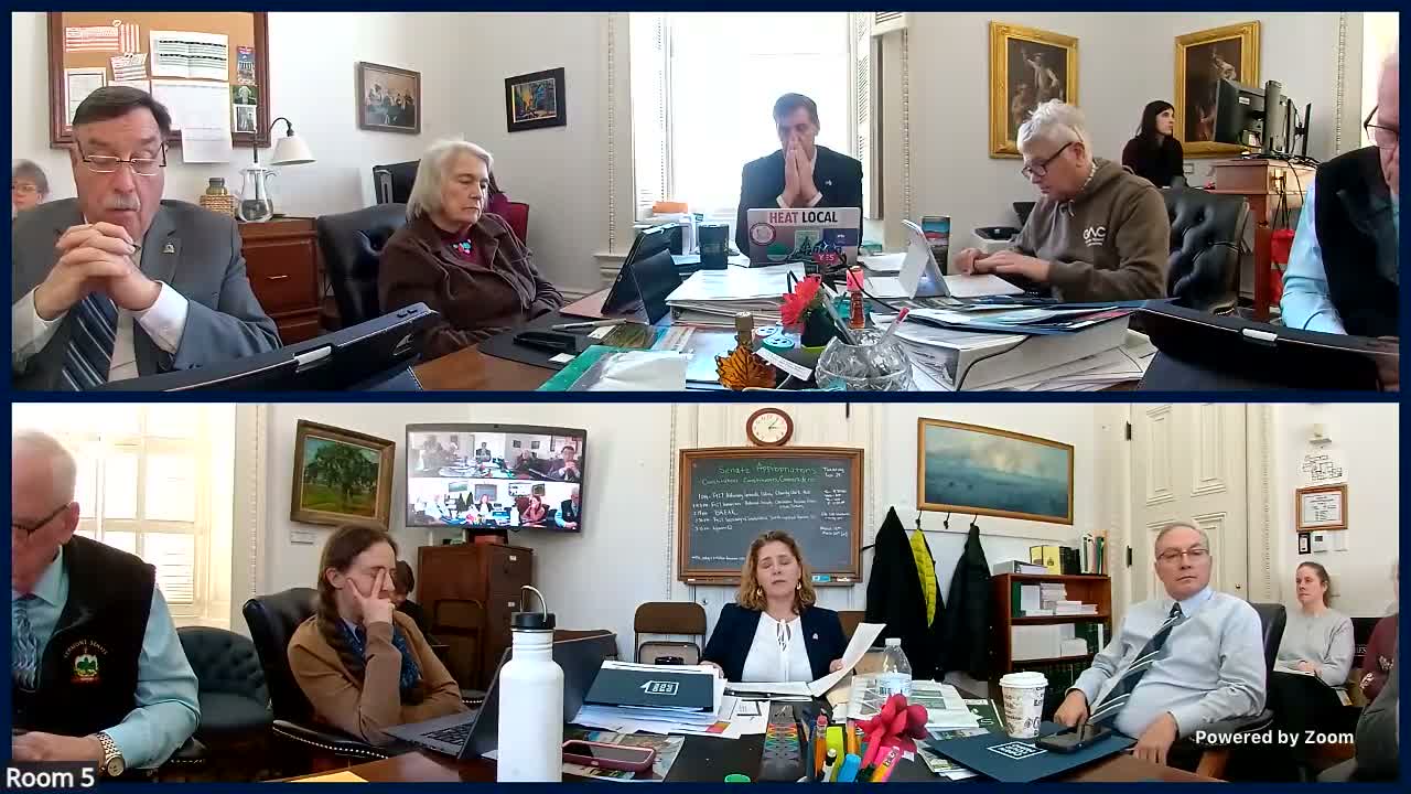 Secretary of State presenter outlines voter guide mailings, reduced federal grants and $1.8M media request