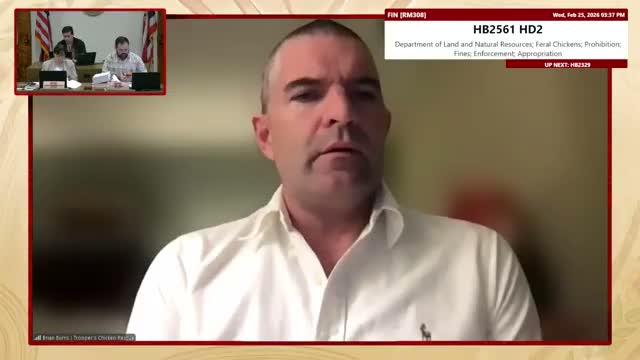 Finance committee advances feral-chicken bill despite strong public opposition and reservations