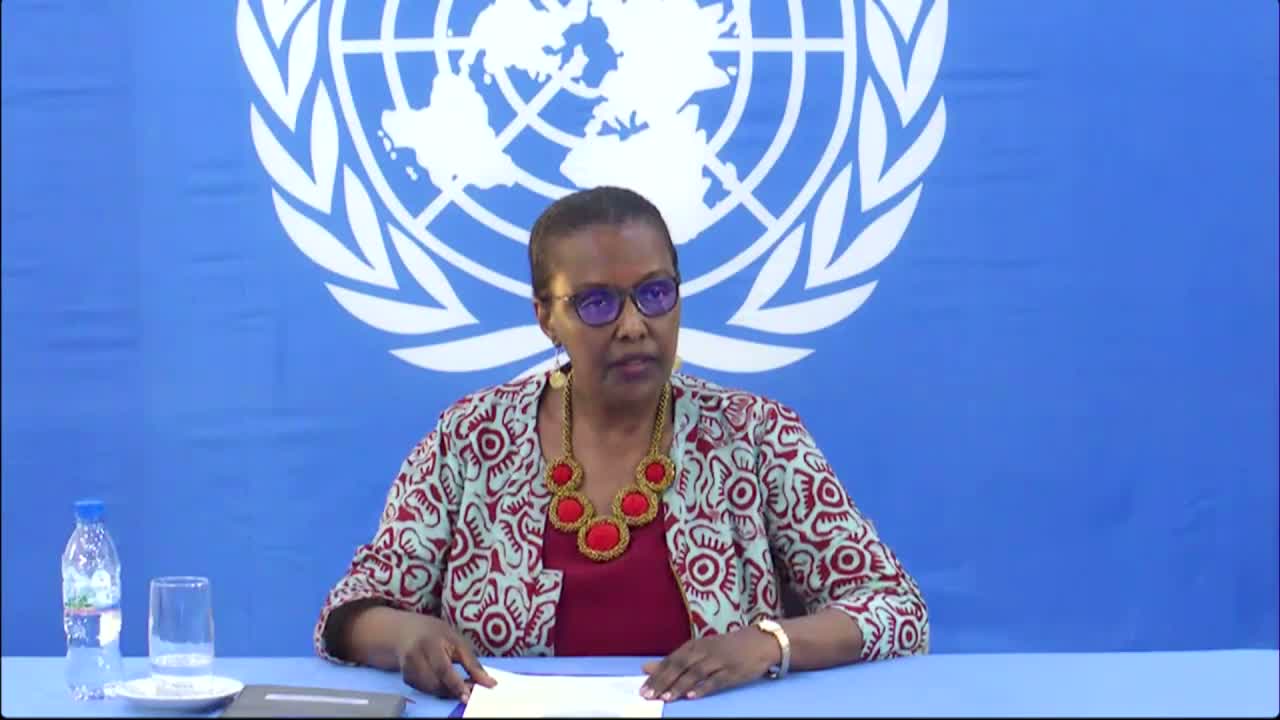 UN briefing says Central African Republic elections largely peaceful; MINUSCA support, DDR and mission liquidity flagged as priorities