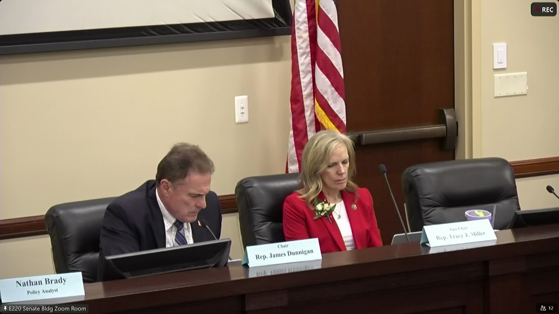 Committee recommends limits and wrap-up timeline for redevelopment project areas