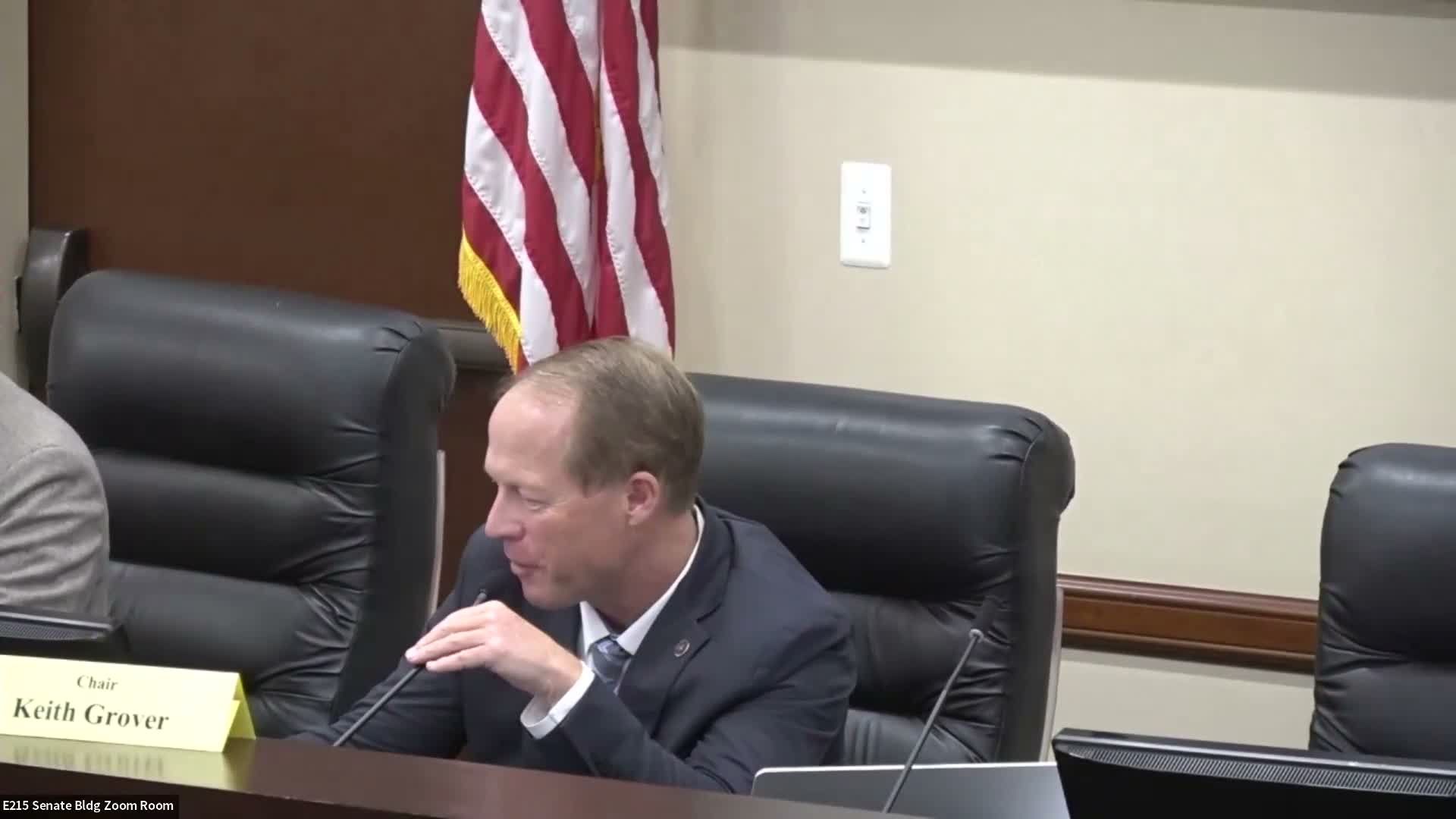 Committee advances several bills on consent or with brief debate, including adoption-records and medical-translation measures