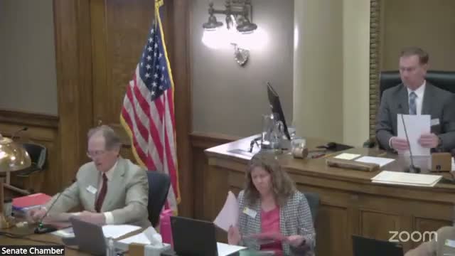 Senate committee advances $233 million capital package after debate over $87 million veterans home rebuild