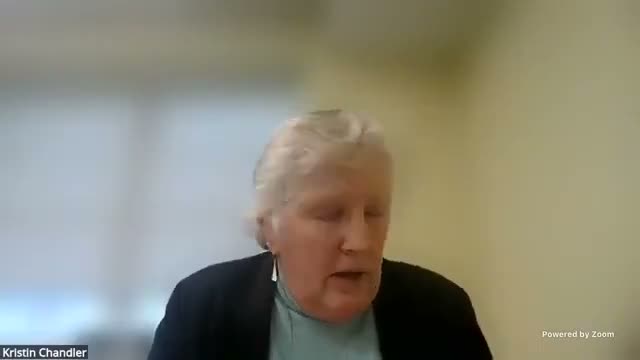 Committee questions H13 language that would move use‑of‑force guidance into statute