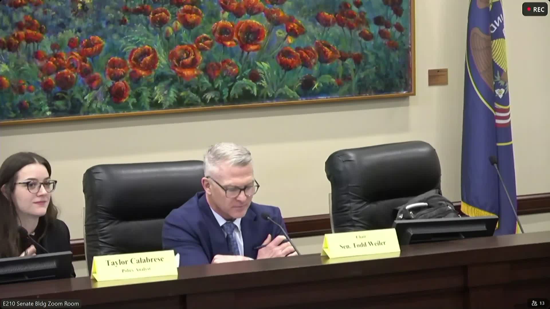 Committee advances a package of criminal-justice and election-law bills