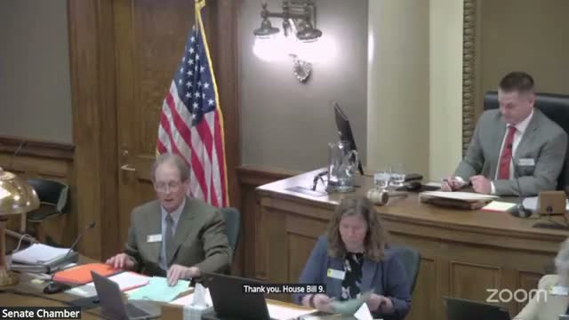 Senate approves bill on grooming of children after debate over intent requirement