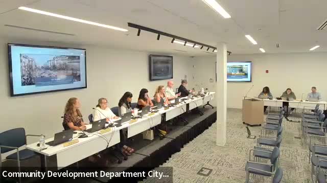 Commission hears plans for interactive 'boxes' at Brookhaven International Festival