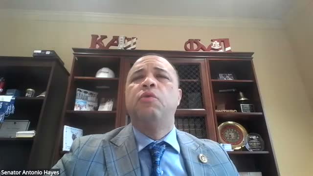 Delegation moves bill allowing pro‑sports raffles with five‑year sunset after brief discussion